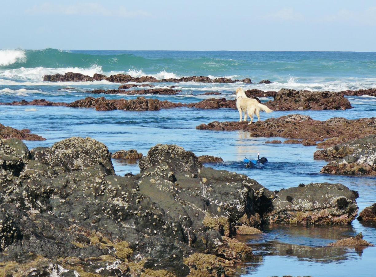 Shells On The Beach Sea View ภายนอก รูปภาพ